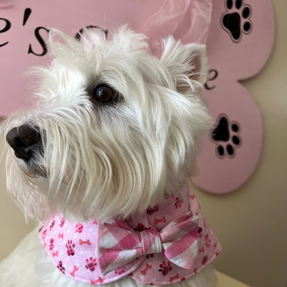 BOWTIE CAPES - Picture 2 of 5